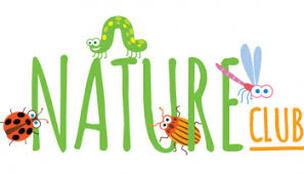 Nature Club activity